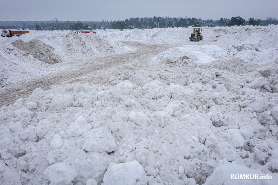 26.01.2026. Ленинский район, Бобруйск. Снег из города свозят на площадку временного складирования в районе поселка Керамичный
