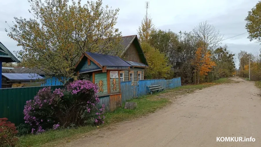 2025 г. Адзіная вясковая вуліца Лясная.