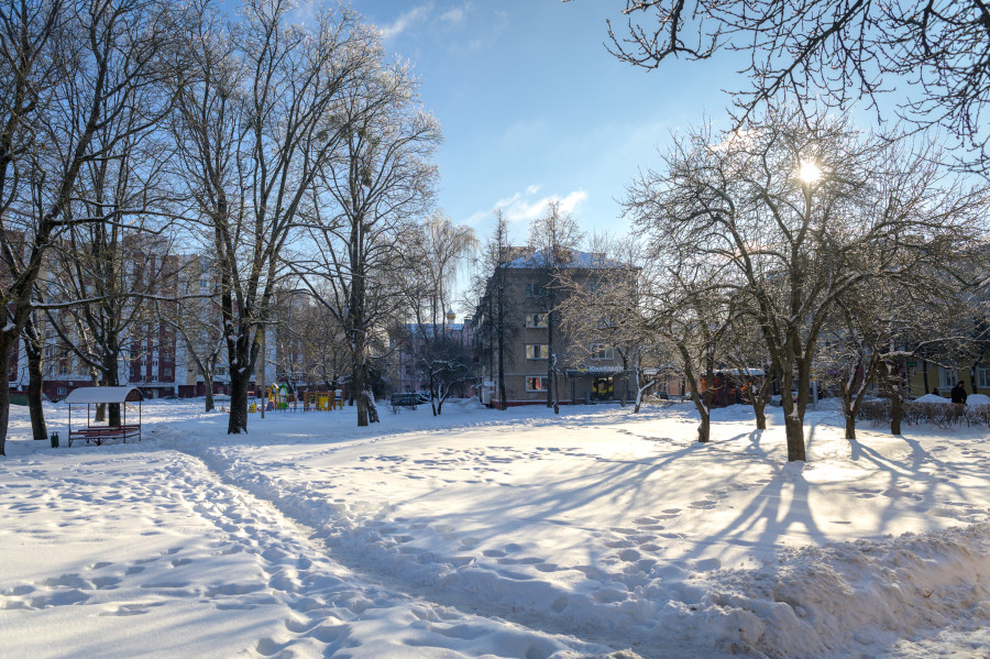 Могут ли отменить школьные занятия при морозах ниже 20 градусов? Разъяснили в Министерстве образования