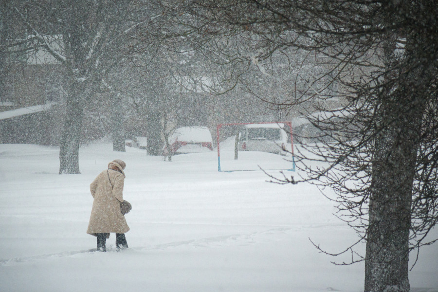 Зима и не думает уходить: новая порция мороза и снега с 16 по 22 февраля