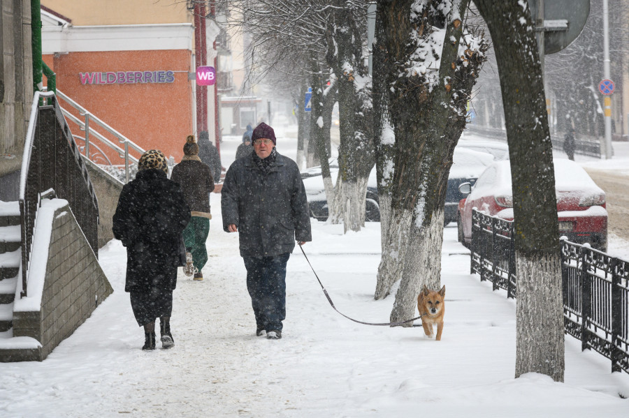 «Было б здоровье справиться с этим миром». Жизнь глазами бобруйчан