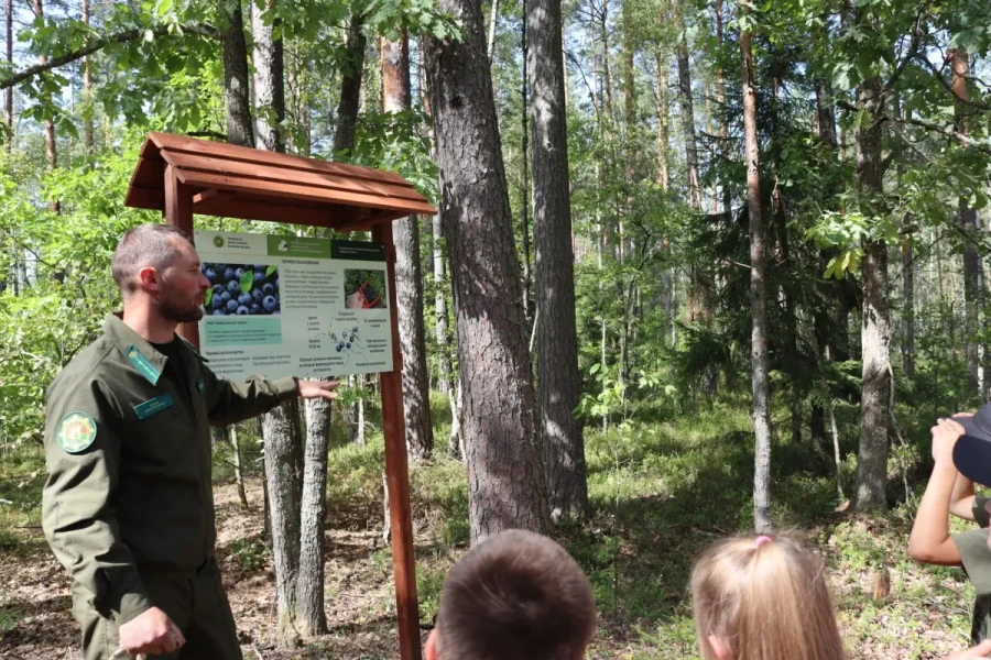 Бобруйский район, 30 августа 2025 года. На территории Глушанского лесничества Бобруйского лесхоза торжественно открыли экологическую тропу «Белашава сцежка». Илья Дудаль. Фото: «Трыбуна працы».