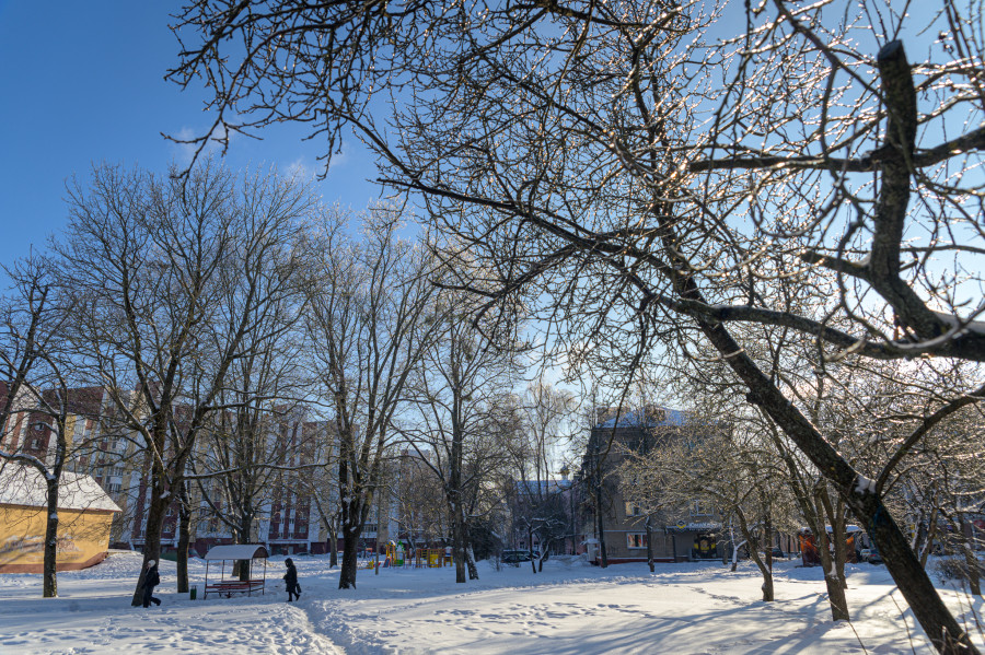 Сильные морозы ожидаются в Беларуси ночью 9 февраля