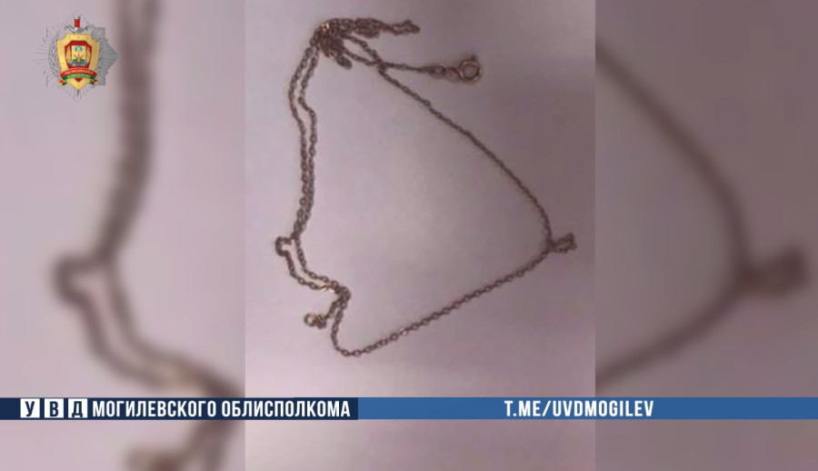 В Бобруйске сын украл у матери золотые украшения