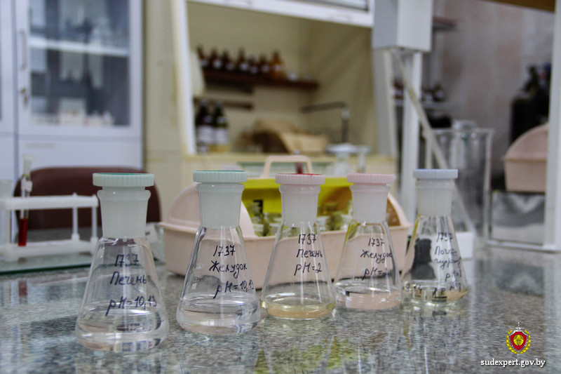 Острые отравления метанолом привели к смертям в Кричеве и Бобруйском районе