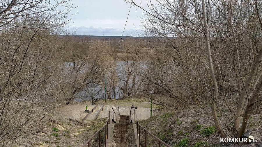 Берег Березины у нижнего склада ОАО "ФанДОК". Территория сейчас пустует и не используется. Фото автора.