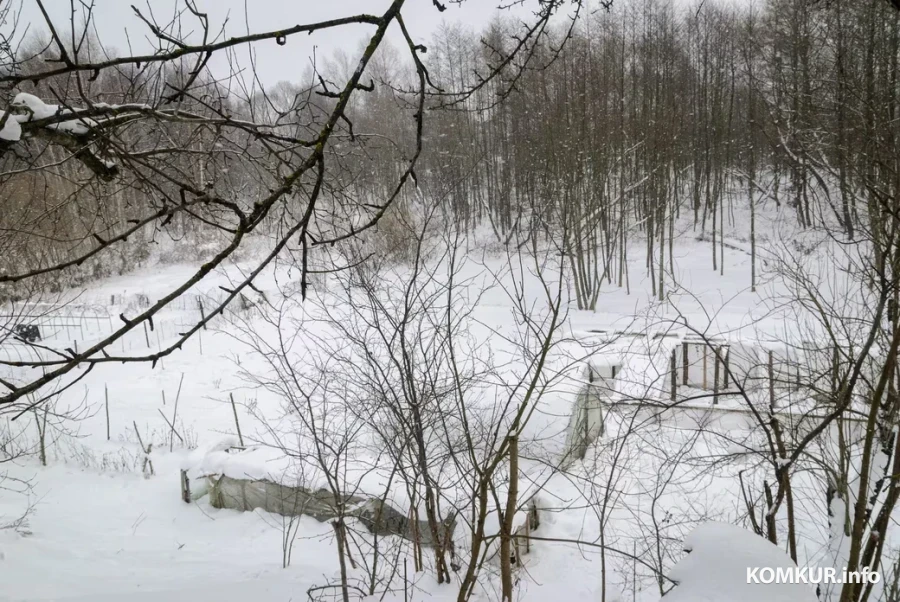 05.02.2026. Бобруйчанин Сергей Семенков держит свиней, кроликов и птиц на приусадебном участке.