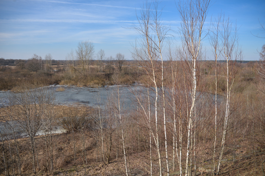 Весна продолжает набирать обороты: прогноз погоды на неделю с 16 по 22 марта