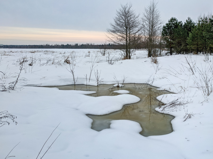Морозы отступают, приходят весенние оттепели: прогноз погоды на неделю 2-8 марта