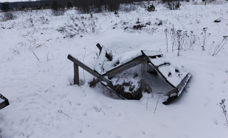 Прокуратура Могилевской области выявила нарушения в охотничьих хозяйствах региона