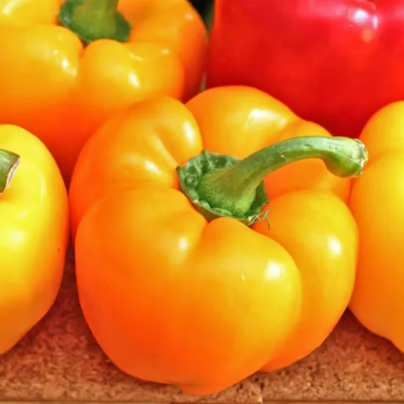 Так выглядят гогошары. Фото: sibsortsemena.ru.