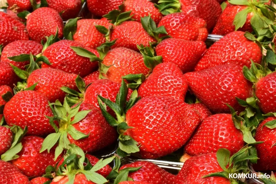 27.03.2026. Бобруйский базар.