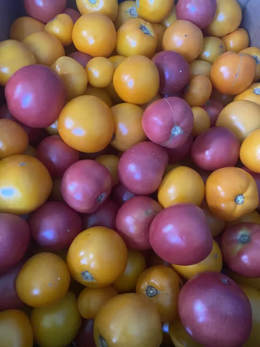 Все закаточки - из своего урожая.