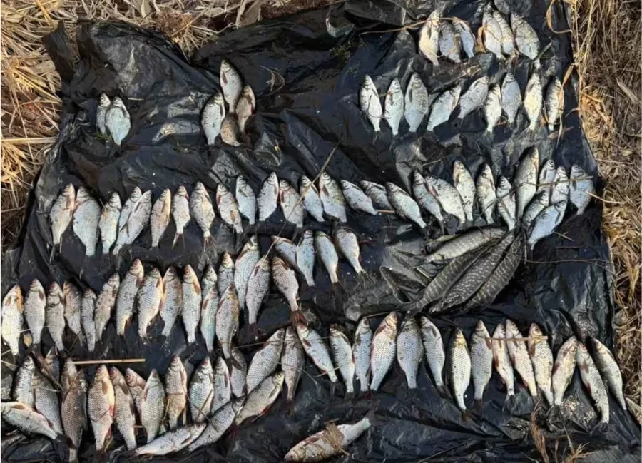 «По окончанию этого класса мои ученики уже все азы торговли знали». Бобруйчанка вспоминает работу межшкольного УПК в советские годы