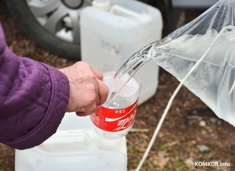 В Бобруйском лесхозе уточнили, что самостоятельно собирать березовый сок, все-таки можно