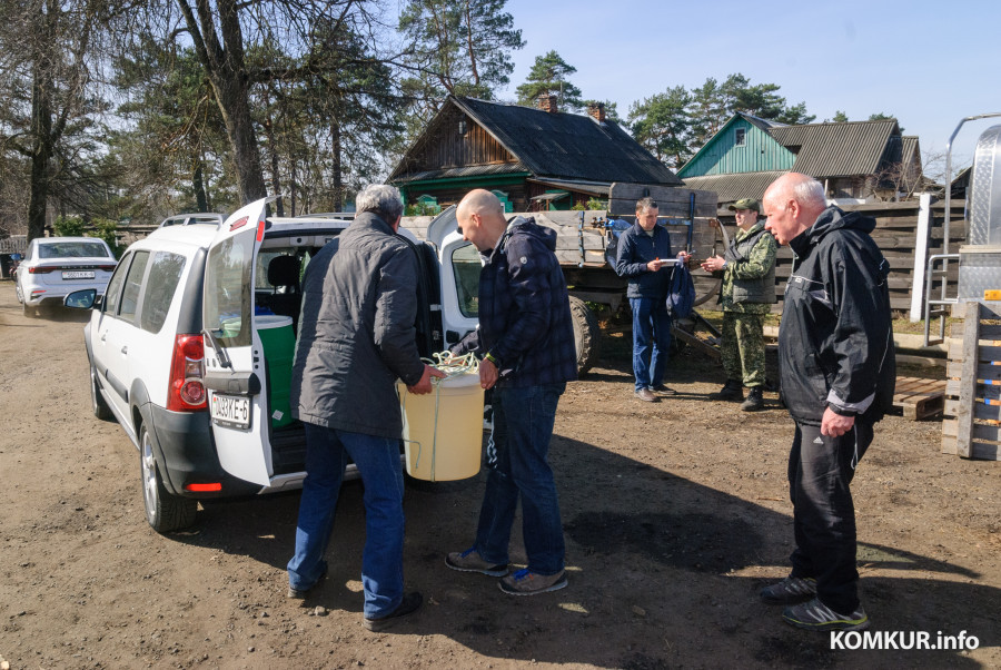 30.03.2026. Глуша, Бобруйский район. Продажа березового сока в Глушанском лесничестве.