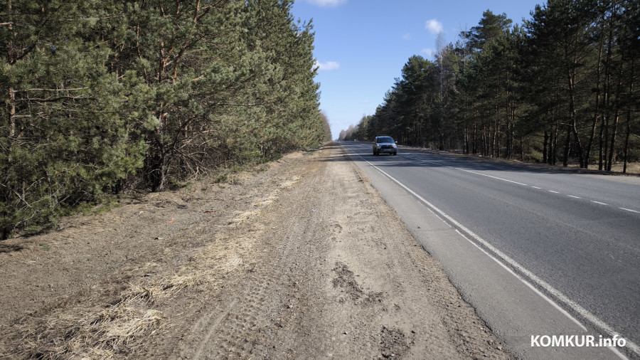 17.03.2026. Бобруйский район, автодорога Р43. Место, где были обнаружены погибшие животные.