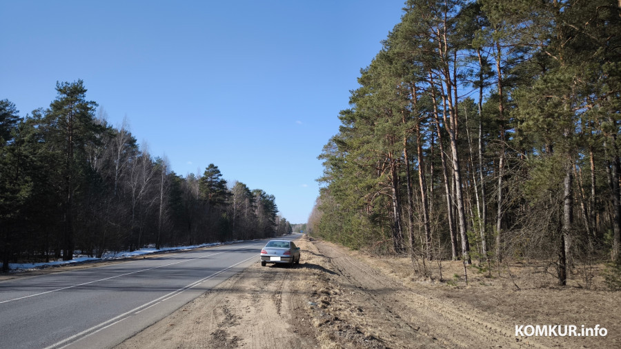 Третий случай за полтора года. Ветслужба Бобруйского района ответила на видео с мертвыми ягнятами у дороги