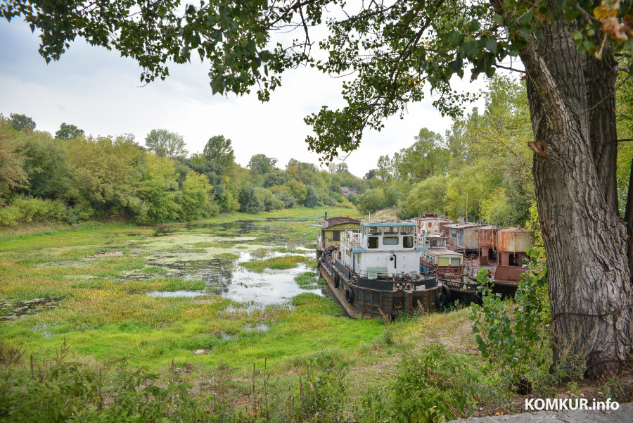 2015. Бобруйск. Списанные суда у полуострова близ Затонного переулка.