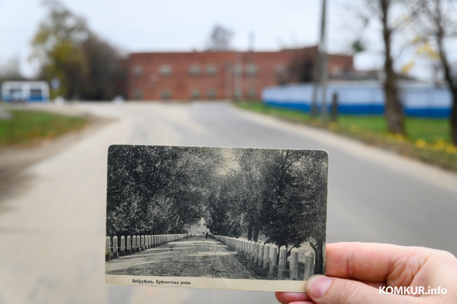 .2022. Бобруйск. Исторический снимок Крепостной рощи в Бобруйске (нынешняя улица Ермака)