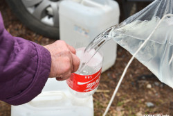В Бобруйском лесхозе уточнили, что самостоятельно собирать березовый сок, все-таки можно