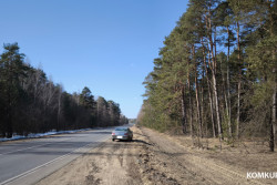Третий случай за полтора года. Ветслужба Бобруйского района ответила на видео с мертвыми ягнятами у дороги