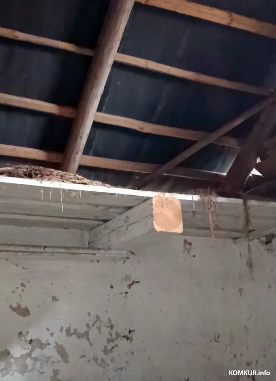  Снежань 2025 г. У старой хаце сям'і Немец недобрасумленныя людзі нават спілавалі бэлькі.