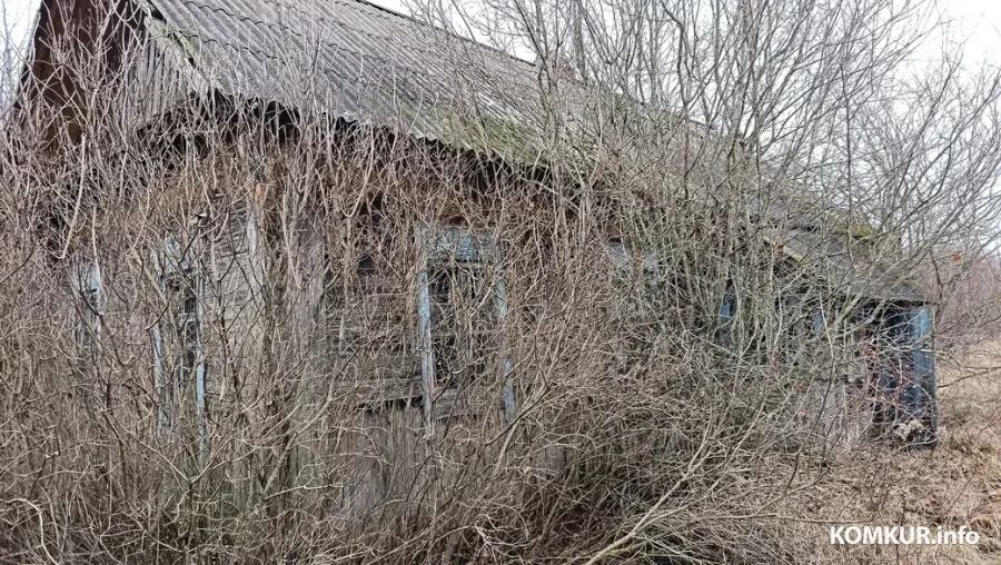 Снежань 2025 г. Вёска Уюнішчы Глускага раёна.