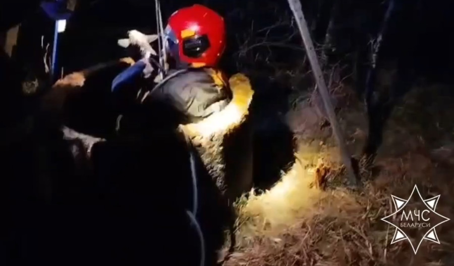 Ягненок упал в 7-метровый колодец в Слонимском районе. Животное не пострадало