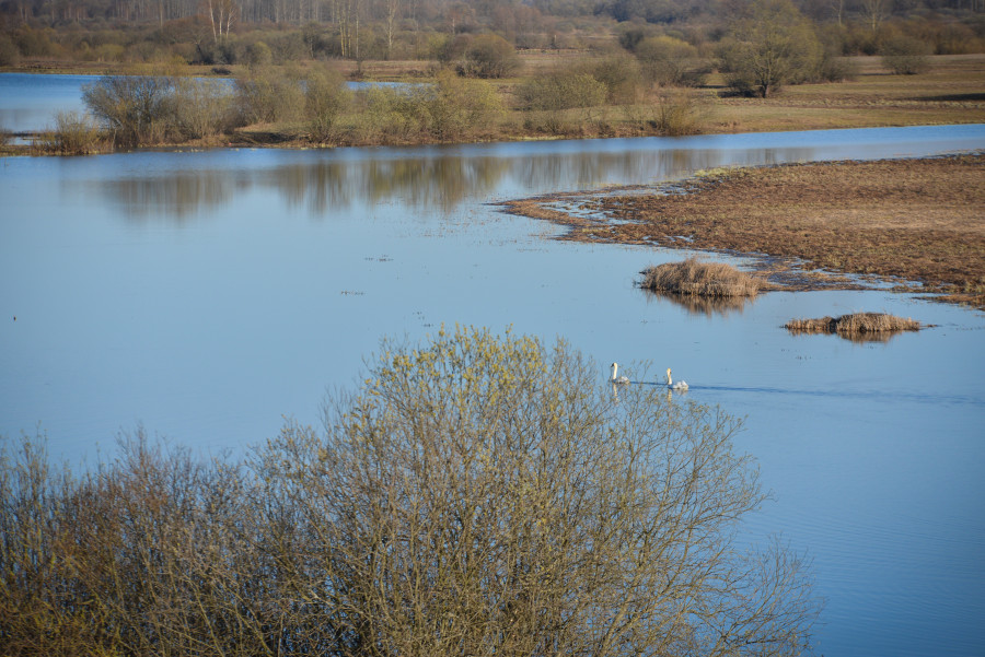 Ночью возможен мокрый снег: о погоде в Могилевской области 12 апреля