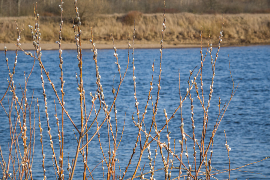Дождь, мокрый снег, сильный ветер: о погодных сюрпризах на следующей неделе с 6 по 12 апреля
