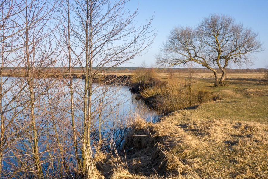 Кратковременные дожди, ночью возможны заморозки: о погоде в Могилевской области 11 апреля