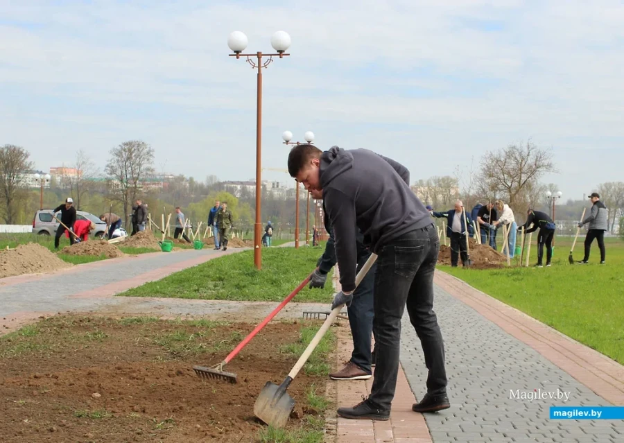 Республиканский субботник проходит 18 апреля в Беларуси