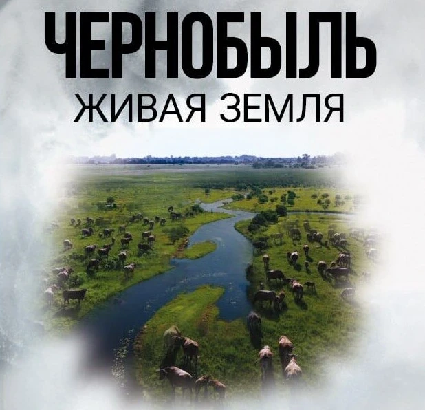 В кинотеатрах Бобруйска в апреле покажут фильм «Чернобыль. Живая земля». Даты и время