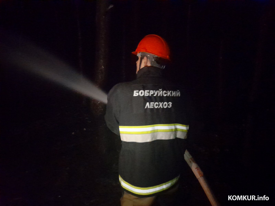 Апрель 2026 года. Возгорания на территории Бобруйского лесхоза