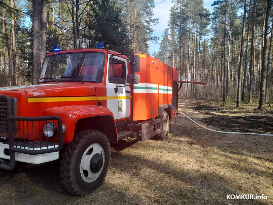 Апрель 2026 года. Возгорания на территории Бобруйского лесхоза