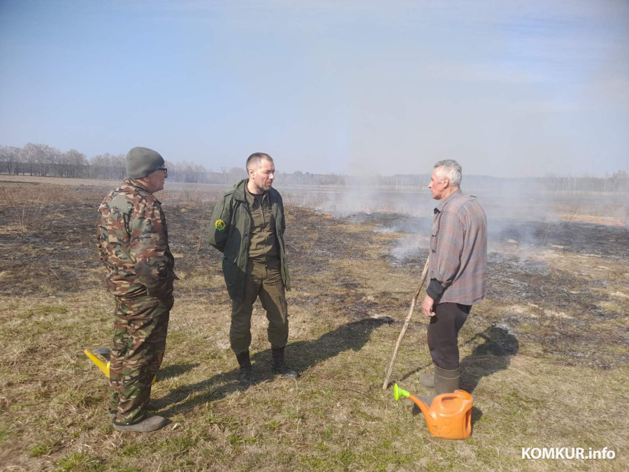 Апрель 2026 года. Возгорания на территории Бобруйского лесхоза