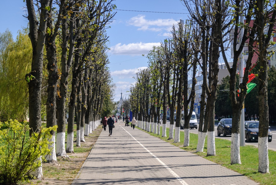 «Моя весна проходит с переживаниями и гордостью за деток, дочку и учеников». Жизнь глазами бобруйчан