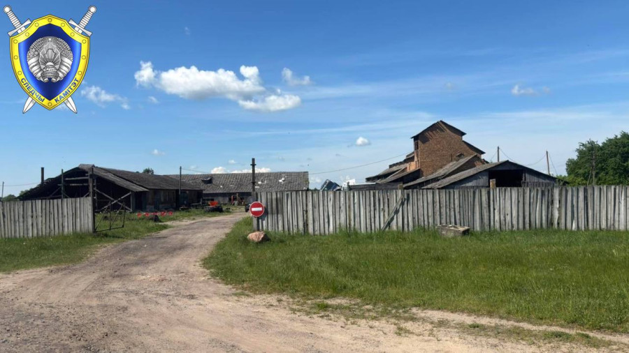 Отец случайно ранил сына из ружья при забое кабана в Костюковичском районе