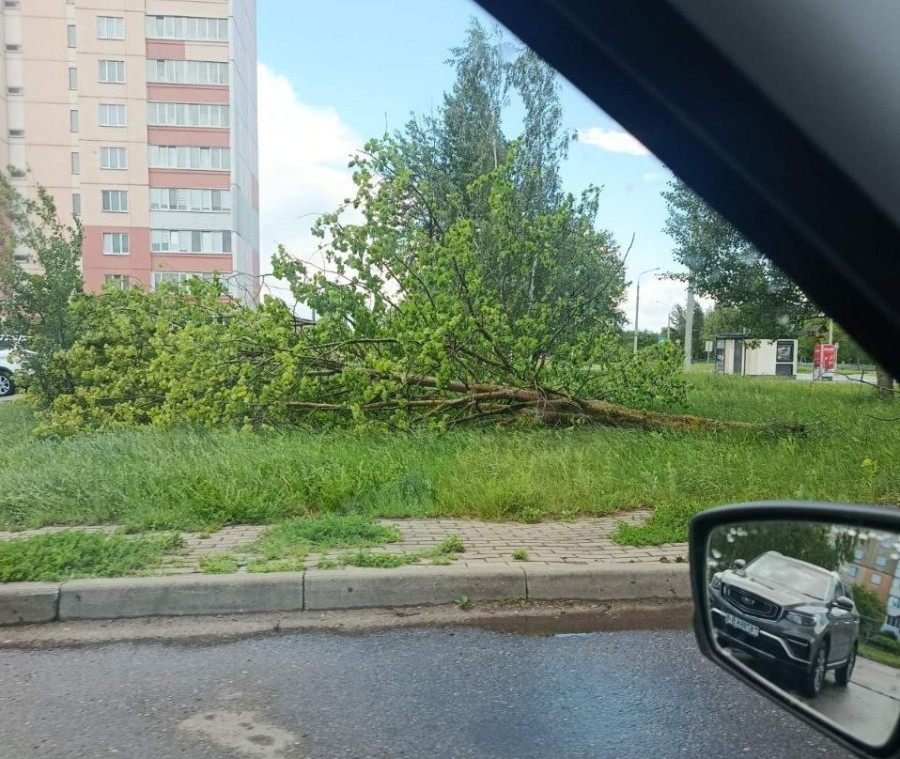 27.05.2026. Бобруйск, последствия шквалистого ветра на "Западном"