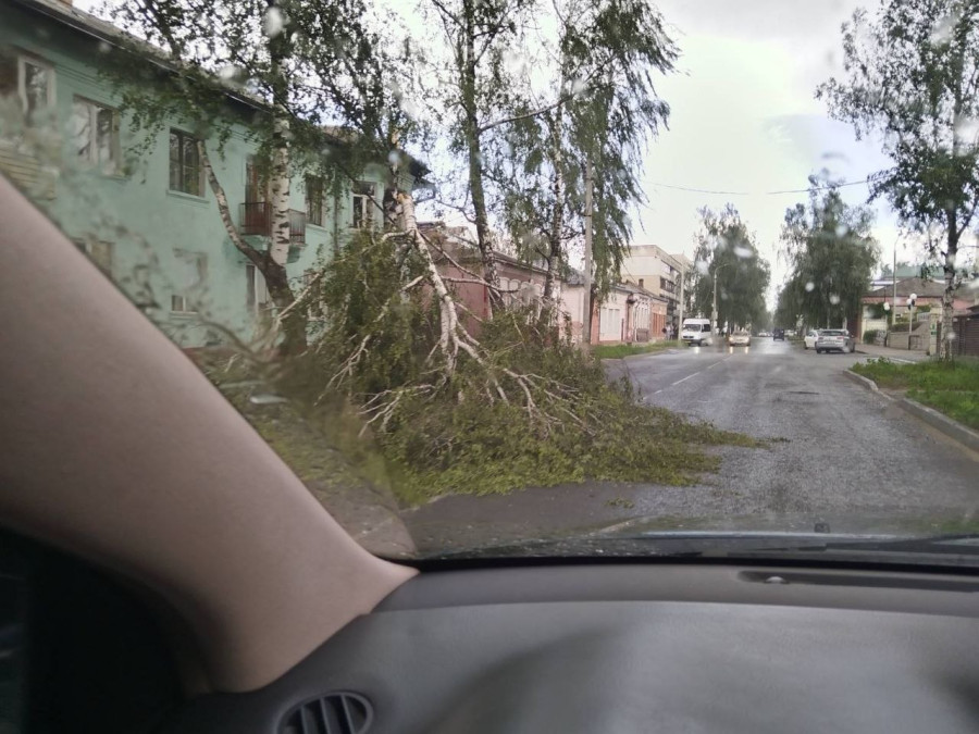 В Бобруйске бушует шквал. Соцсети заполнены фото упавших деревьев