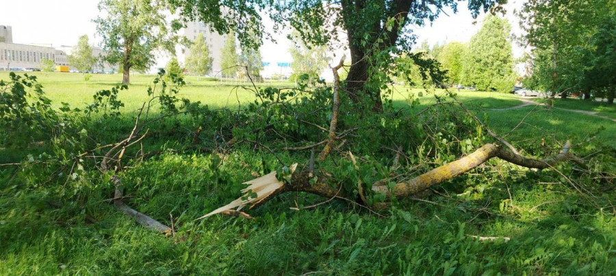 27.05.2026. Бобруйск, последствия шквалистого ветра в районе Дворца искусств.