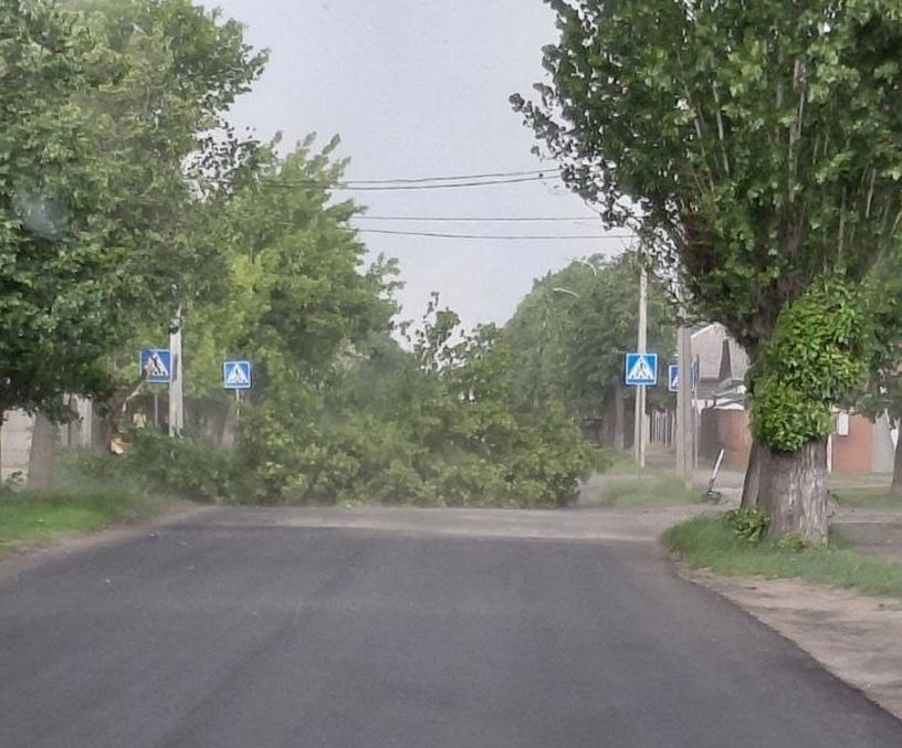 27.05.2026. Бобруйск, последствия шквалистого ветра на ул. Ленина