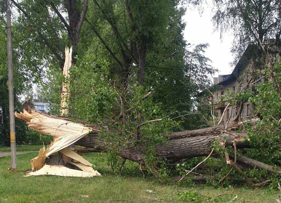 27.05.2026. Бобруйск, последствия шквалистого ветра на ул. Ковзана