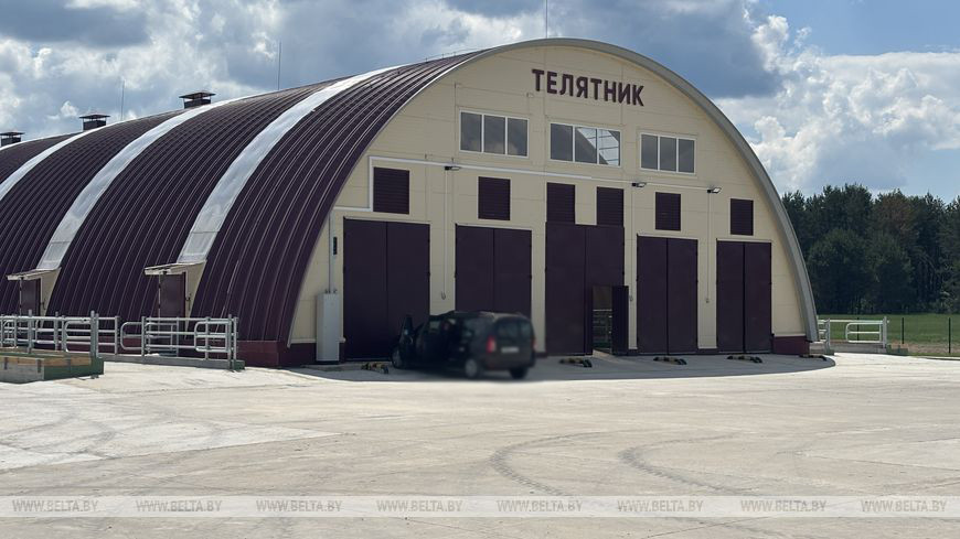 11 июня 2026 года. Молочно-товарный комплекс филиала «Пищевик-Агро» ОАО «Красный пищевик-АгроСервис».  Фото: БЕЛТА.