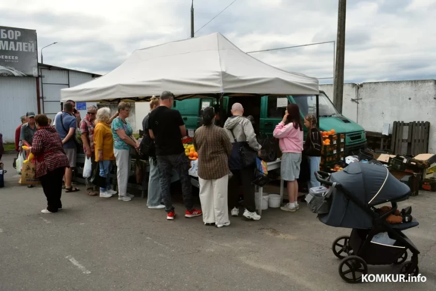 12.06.2026, Бобруйск, рынок «Северный».