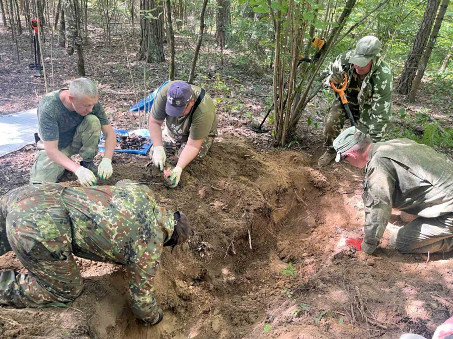 26.06.2026. Кировский район. Поисковые работы в лесу у деревни Подречье