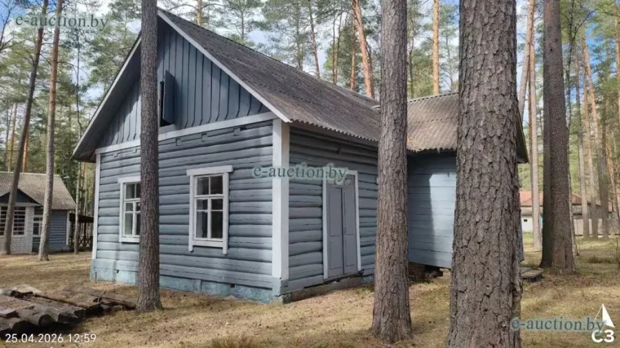 Недалеко от Бобруйска продается за долги детский оздоровительный лагерь
