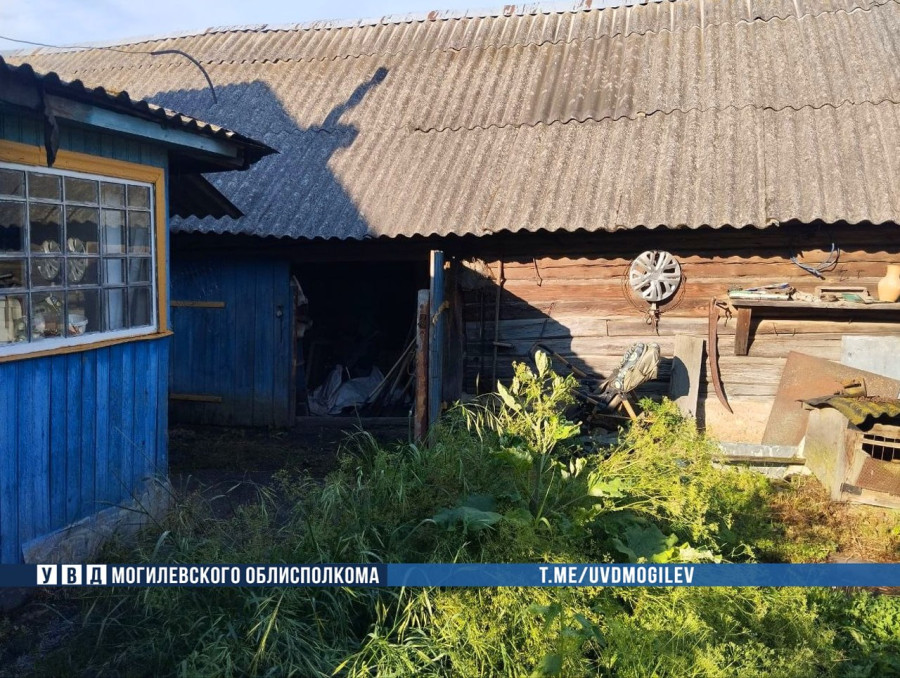 Водитель сельхозорганизации сливал солярку с рабочей техники. Фото: УВД Могилевского облисполкома.