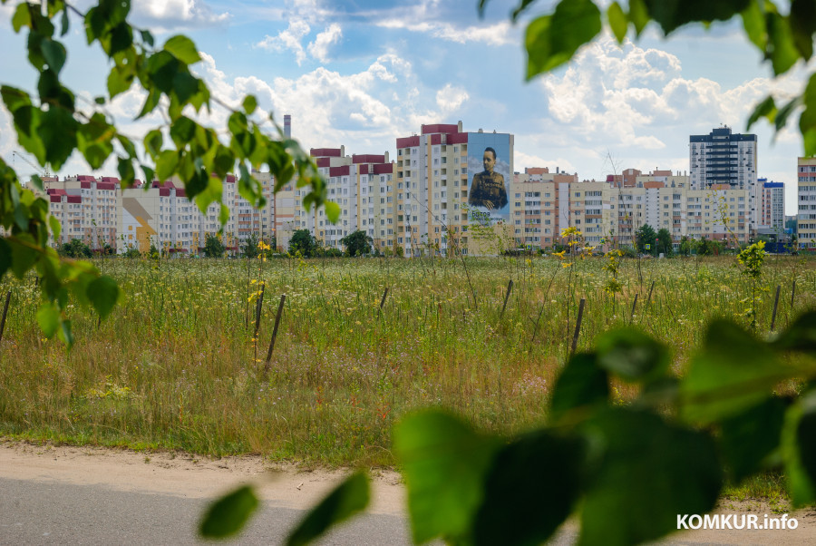 15.07.2026. Улица Сикорского, Первомайский район, Бобруйск.